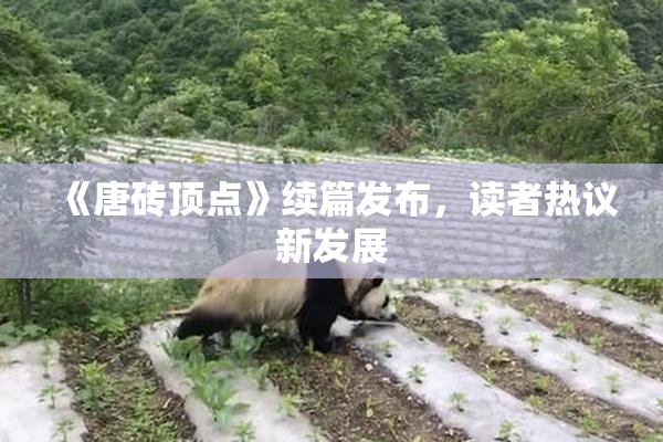 《唐砖顶点》续篇发布，读者热议新发展
