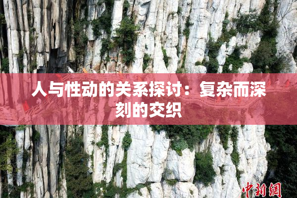 人与性动的关系探讨：复杂而深刻的交织