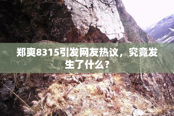 郑爽8315引发网友热议，究竟发生了什么？