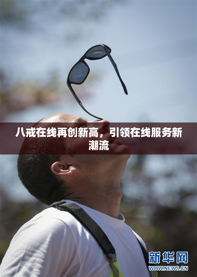 八戒在线再创新高，引领在线服务新潮流