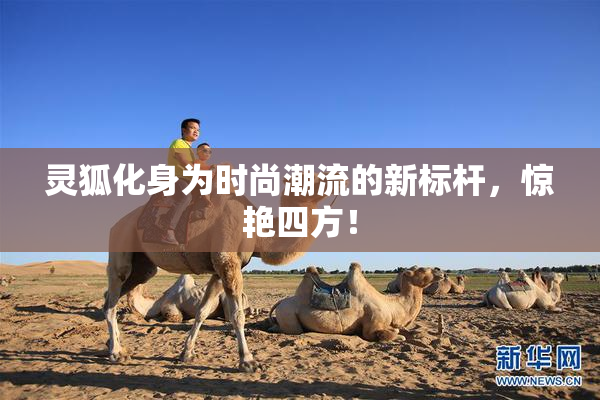 灵狐化身为时尚潮流的新标杆，惊艳四方！