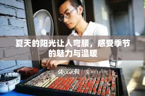 夏天的阳光让人弯腰，感受季节的魅力与温暖