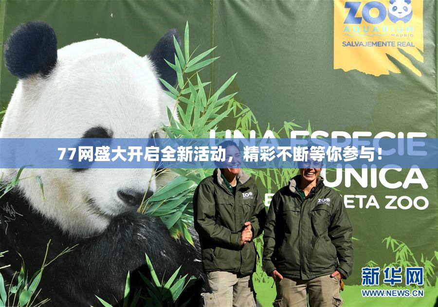 77网盛大开启全新活动，精彩不断等你参与！