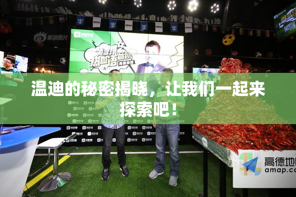 温迪的秘密揭晓，让我们一起来探索吧！