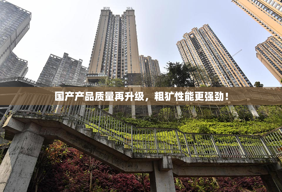 国产产品质量再升级，粗犷性能更强劲！