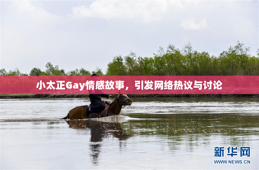 小太正Gay情感故事，引发网络热议与讨论