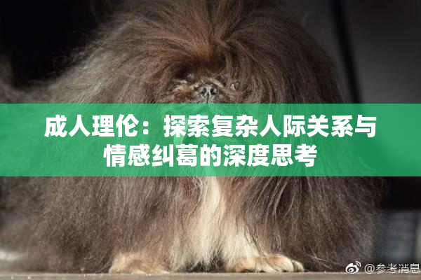 成人理伦：探索复杂人际关系与情感纠葛的深度思考