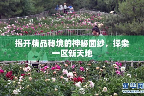 揭开精品秘境的神秘面纱，探索一区新天地