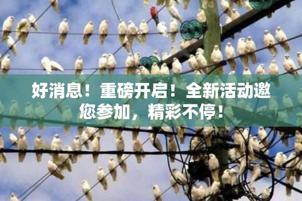 好消息！重磅开启！全新活动邀您参加，精彩不停！