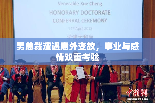 男总裁遭遇意外变故，事业与感情双重考验