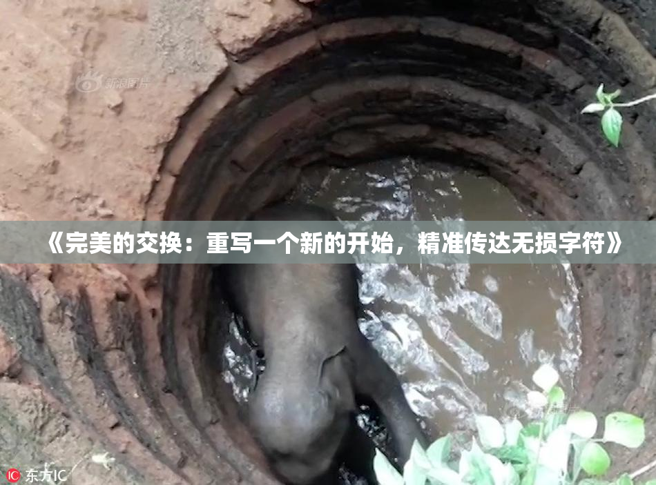 《完美的交换：重写一个新的开始，精准传达无损字符》