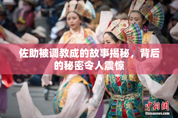 佐助被调教成的故事揭秘，背后的秘密令人震惊