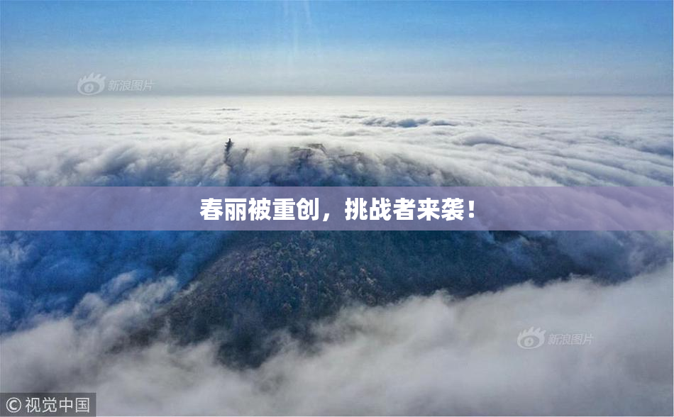 春丽被重创，挑战者来袭！