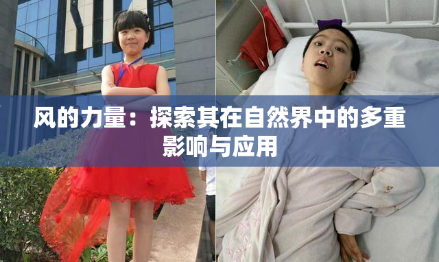 风的力量：探索其在自然界中的多重影响与应用
