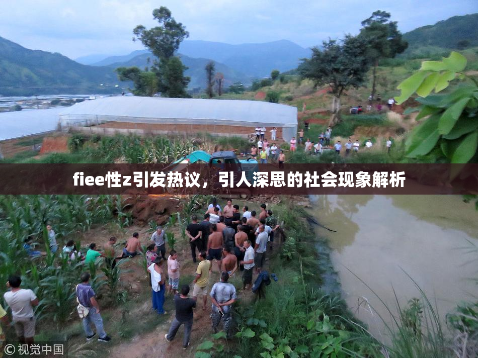 fiee性z引发热议，引人深思的社会现象解析