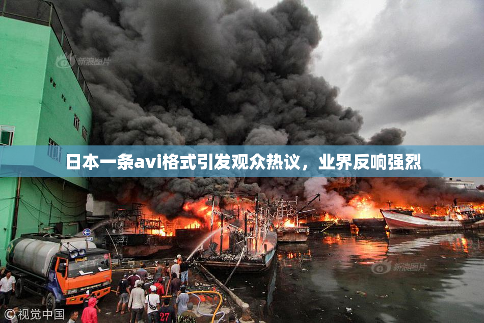 日本一条avi格式引发观众热议，业界反响强烈