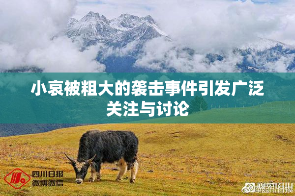 小哀被粗大的袭击事件引发广泛关注与讨论