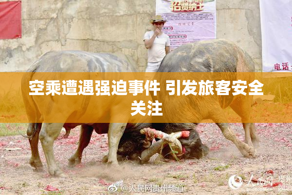 空乘遭遇强迫事件 引发旅客安全关注