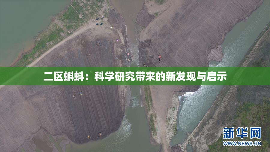 二区蝌蚪：科学研究带来的新发现与启示