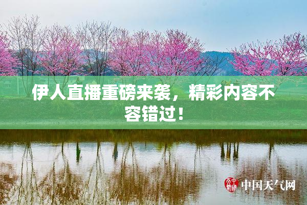 伊人直播重磅来袭，精彩内容不容错过！
