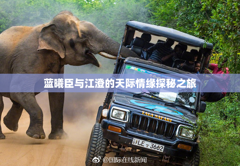 蓝曦臣与江澄的天际情缘探秘之旅