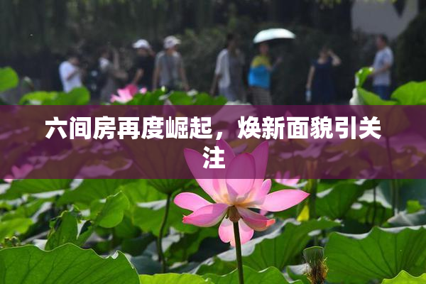六间房再度崛起，焕新面貌引关注