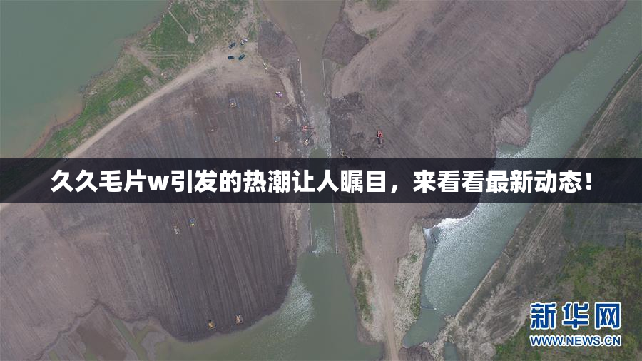 久久毛片w引发的热潮让人瞩目，来看看最新动态！