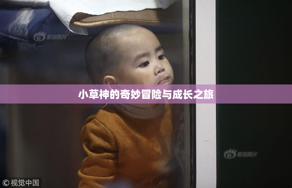 小草神的奇妙冒险与成长之旅