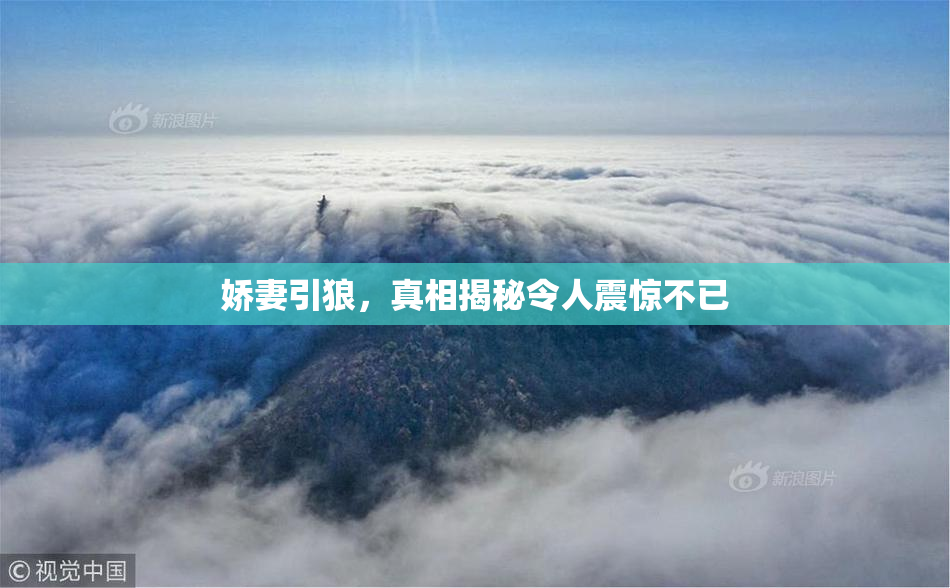 娇妻引狼，真相揭秘令人震惊不已