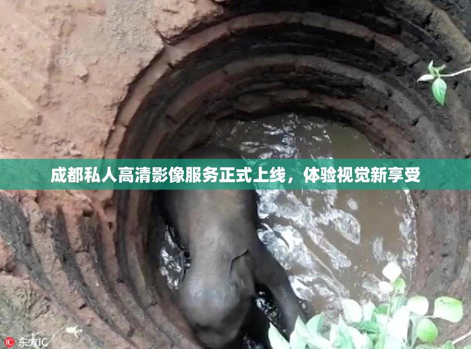 成都私人高清影像服务正式上线，体验视觉新享受