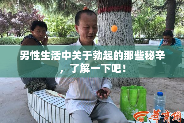 男性生活中关于勃起的那些秘辛，了解一下吧！