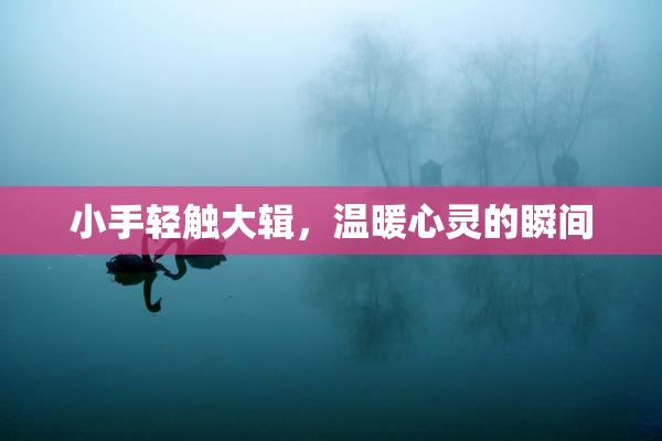 小手轻触大辑，温暖心灵的瞬间