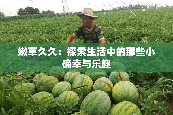 嫩草久久：探索生活中的那些小确幸与乐趣