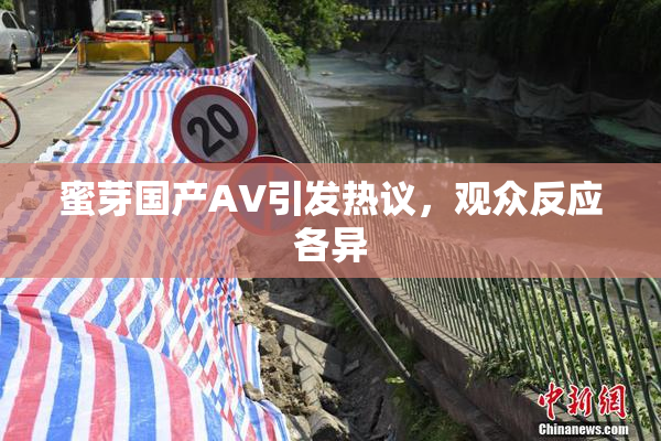 蜜芽国产AV引发热议，观众反应各异