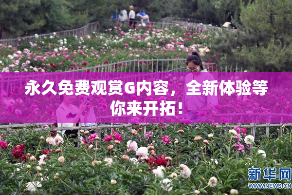 永久免费观赏G内容，全新体验等你来开拓！