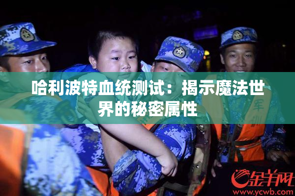 哈利波特血统测试：揭示魔法世界的秘密属性