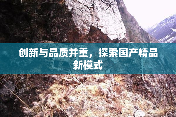 创新与品质并重，探索国产精品新模式