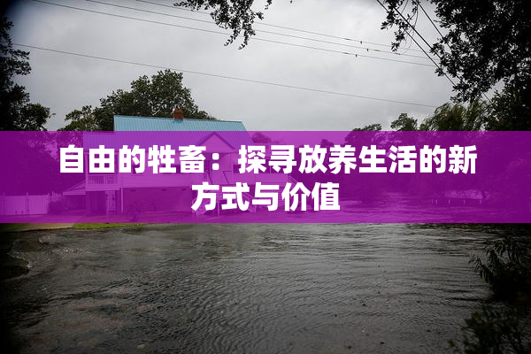 自由的牲畜：探寻放养生活的新方式与价值