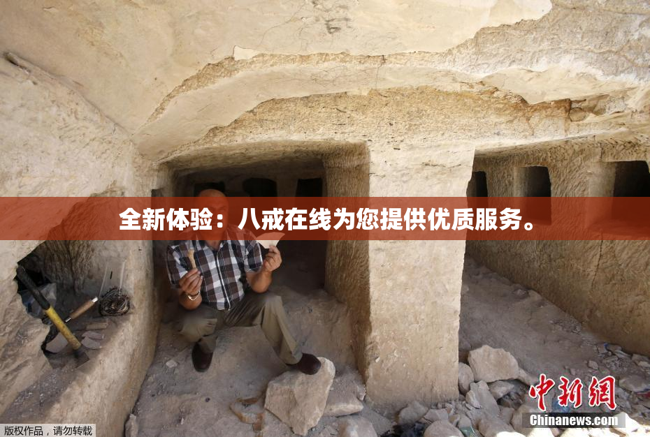 全新体验：八戒在线为您提供优质服务。