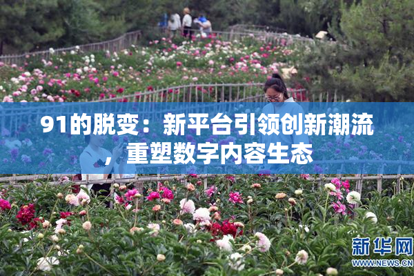 91的脱变：新平台引领创新潮流，重塑数字内容生态