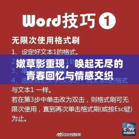 嫩草影重现，唤起无尽的青春回忆与情感交织