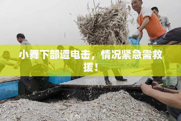 小舞下部遭电击，情况紧急需救援！