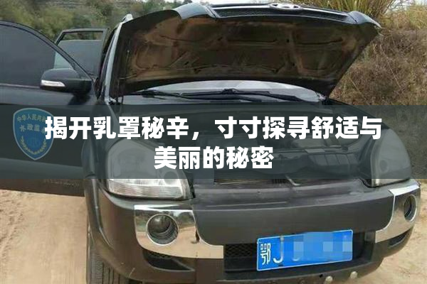 揭开乳罩秘辛，寸寸探寻舒适与美丽的秘密