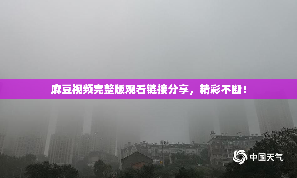 麻豆视频完整版观看链接分享，精彩不断！