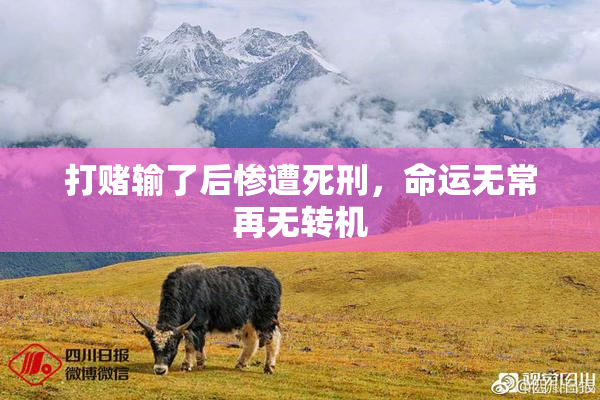 打赌输了后惨遭死刑，命运无常再无转机