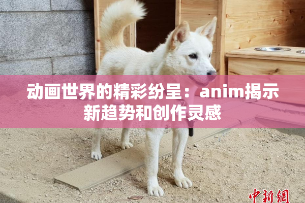动画世界的精彩纷呈：anim揭示新趋势和创作灵感