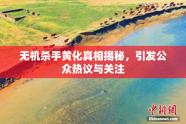 无机杀手黄化真相揭秘，引发公众热议与关注