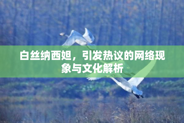 白丝纳西妲，引发热议的网络现象与文化解析
