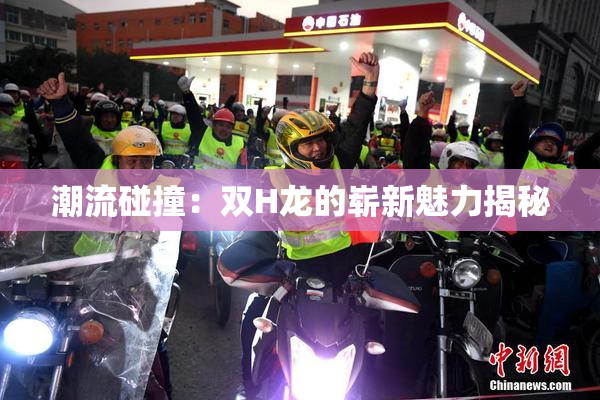 潮流碰撞：双H龙的崭新魅力揭秘
