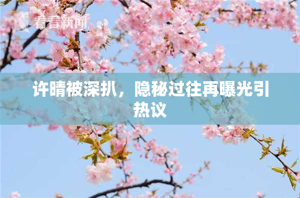 许晴被深扒，隐秘过往再曝光引热议